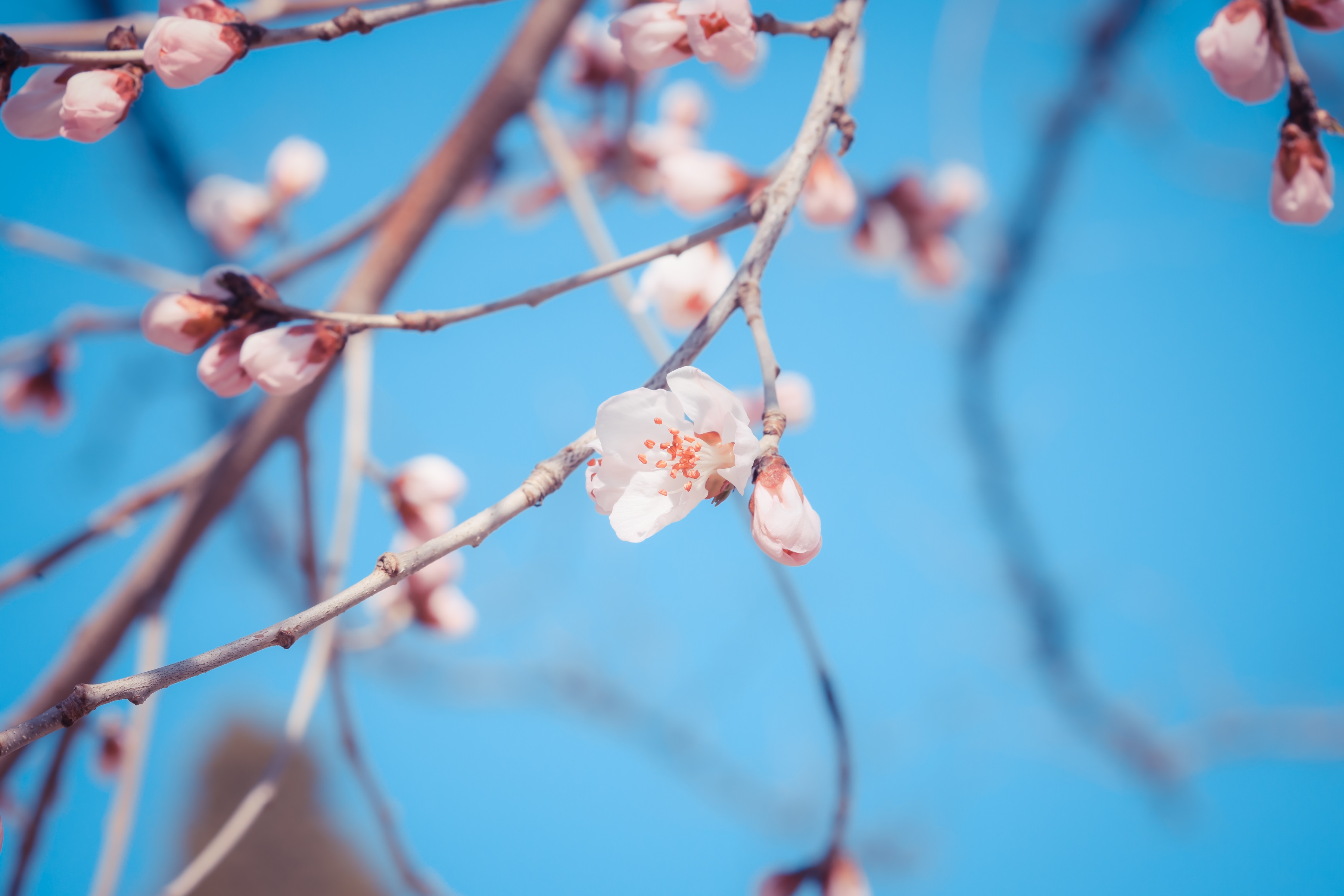 兴发娱乐·(中国)官方网站